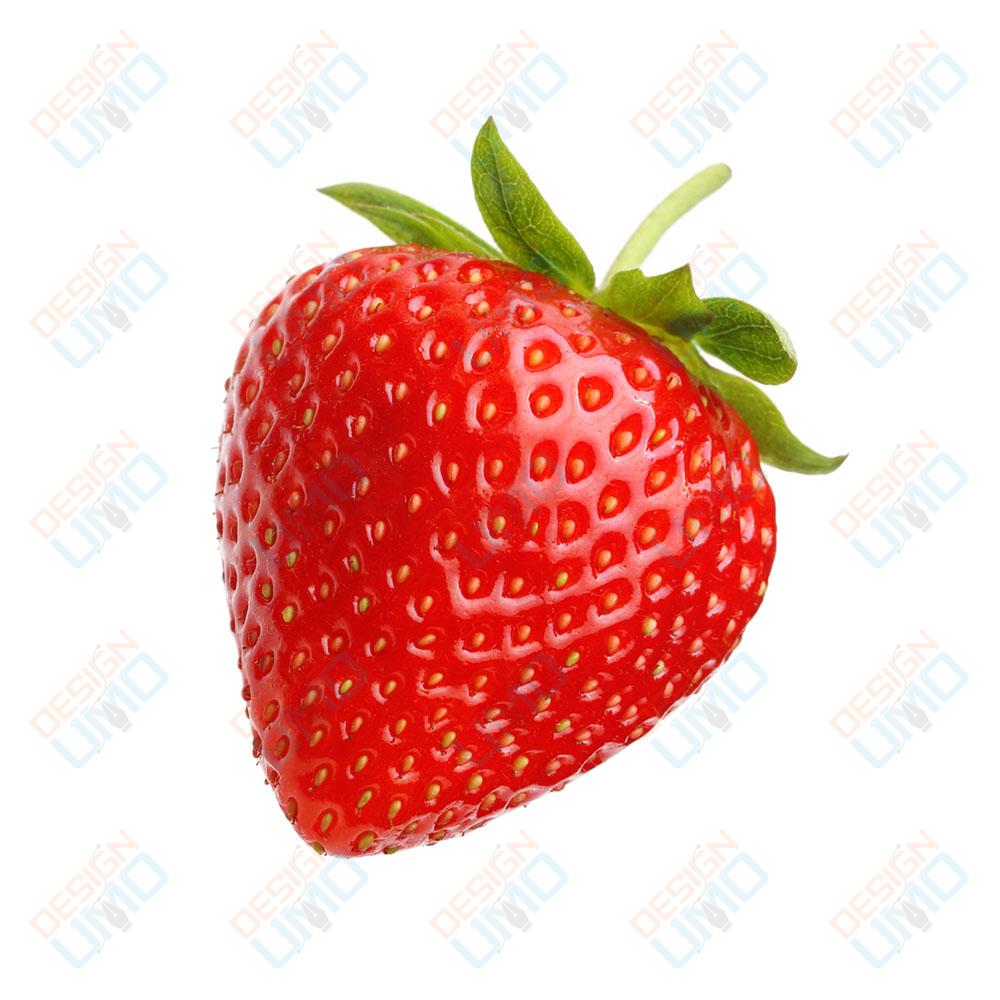 Background Removal