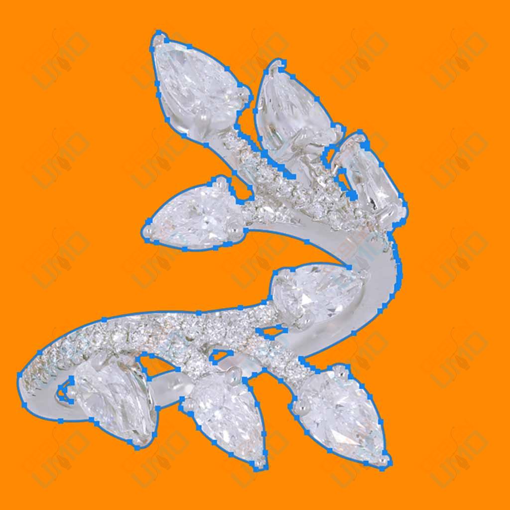 Clipping Path